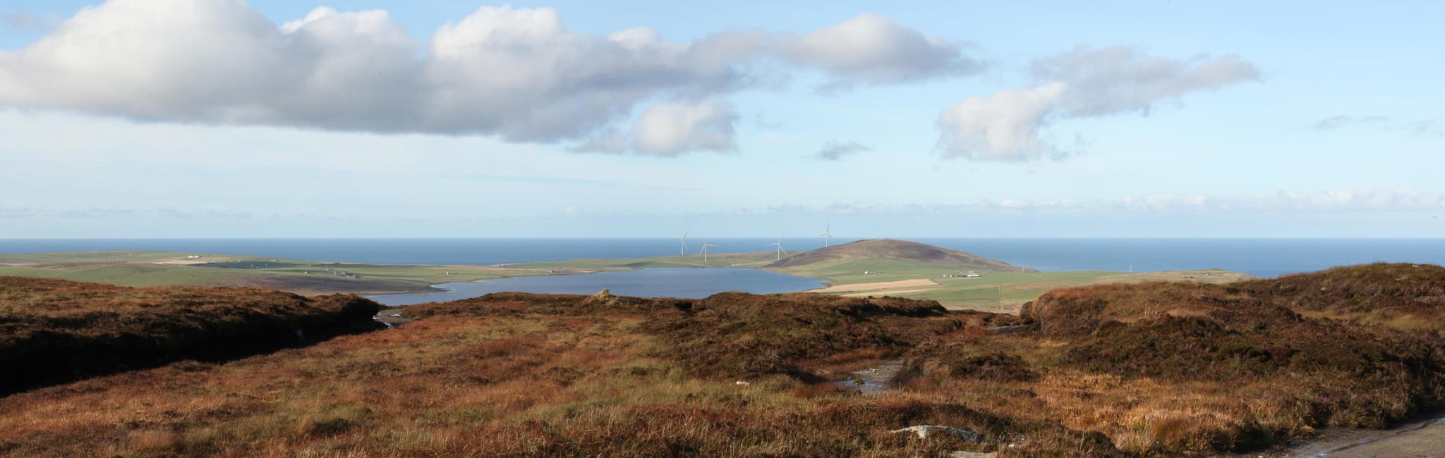 Costa Head_photomontage.jpg